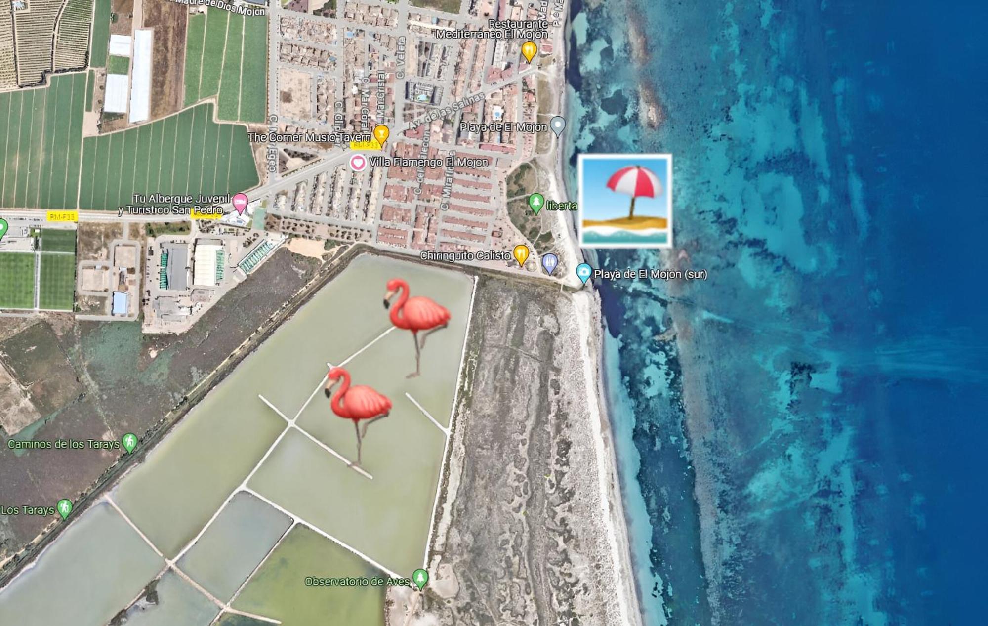 Flamingo Vila Alicante サン・ペドロ・デル・ピナタル エクステリア 写真