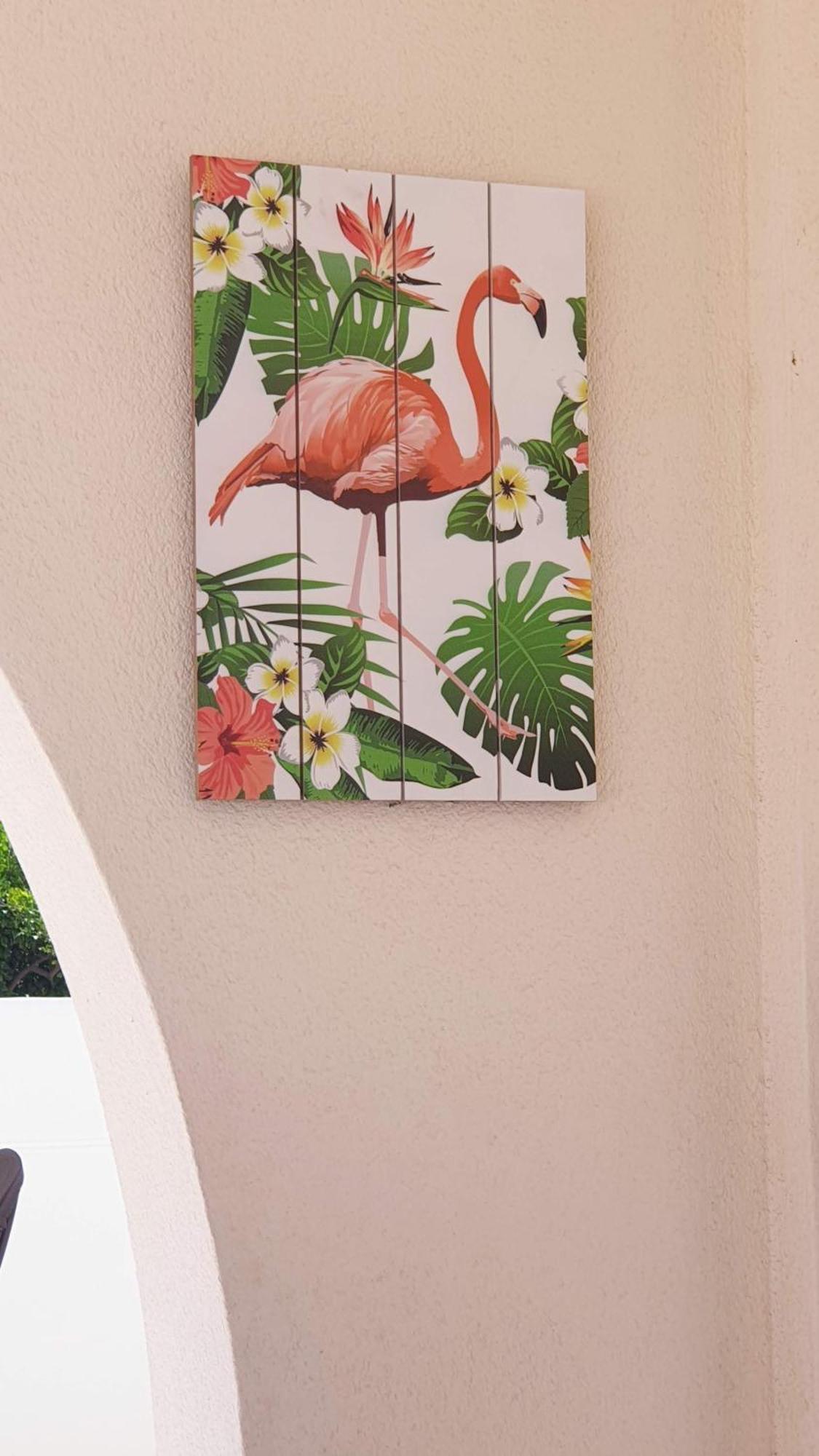 Flamingo Vila Alicante サン・ペドロ・デル・ピナタル エクステリア 写真